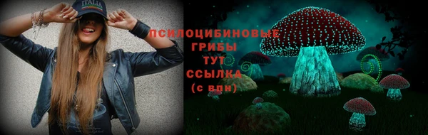 прущая мука Арсеньев