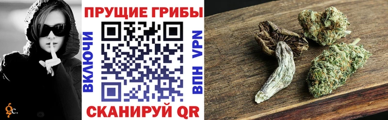 Галлюциногенные грибы мухоморы Калач-на-Дону